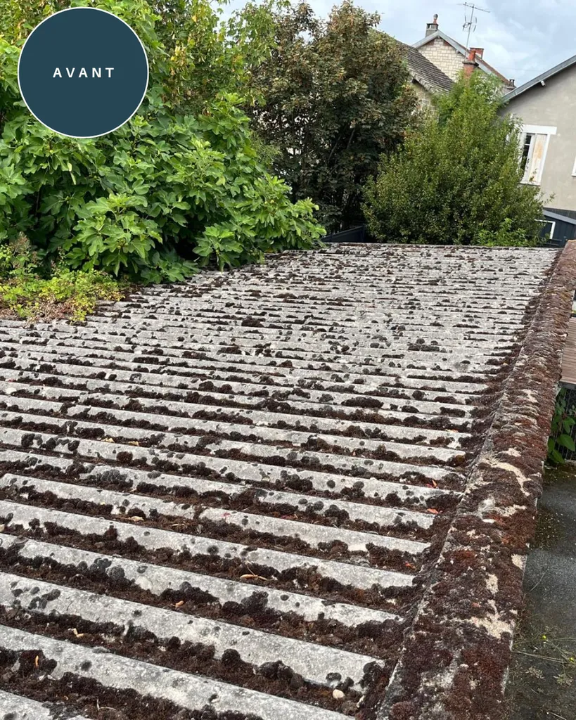 Toiture en plaques ondulées fortement encrassée par la mousse et le lichen avant l'intervention de nettoyage