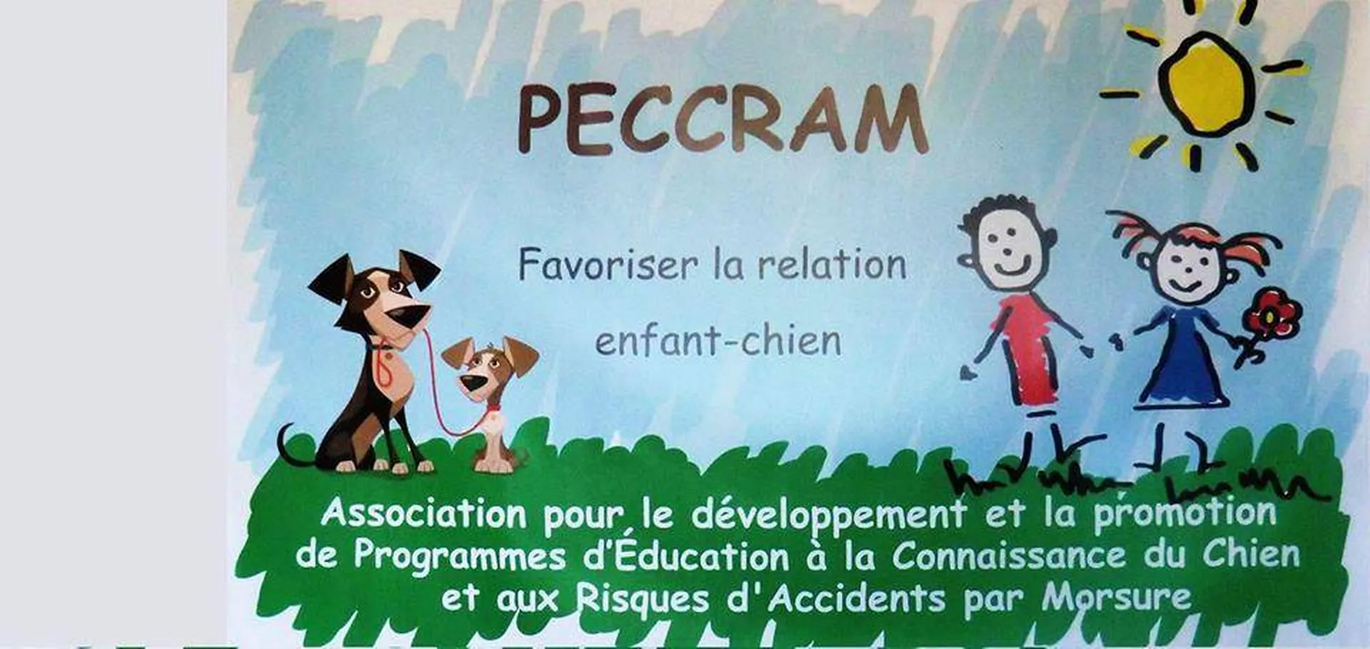 stage pour enfants avec chiens