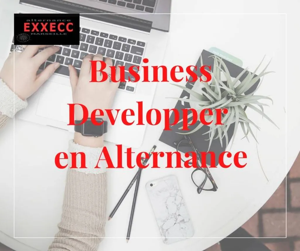 Business Développer en Alternance - POURVU
