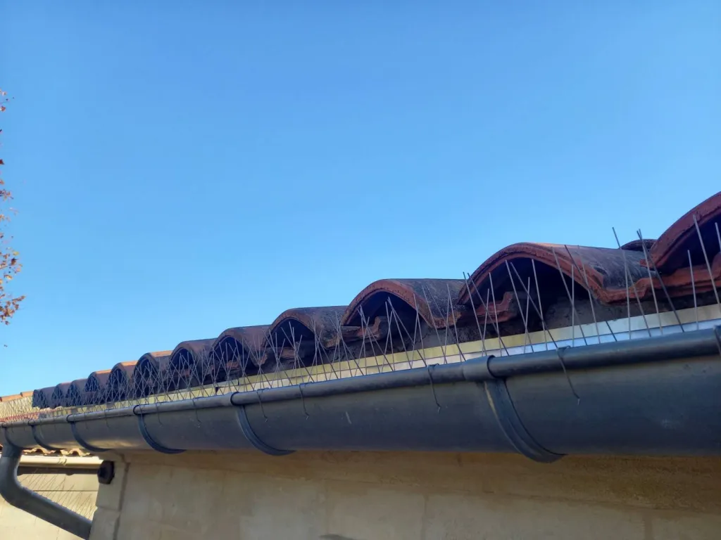 caca gouttières pigeons piques pas cher