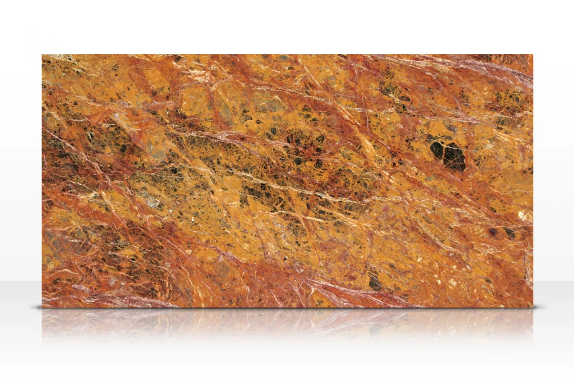 Tranche Brèche Meduse