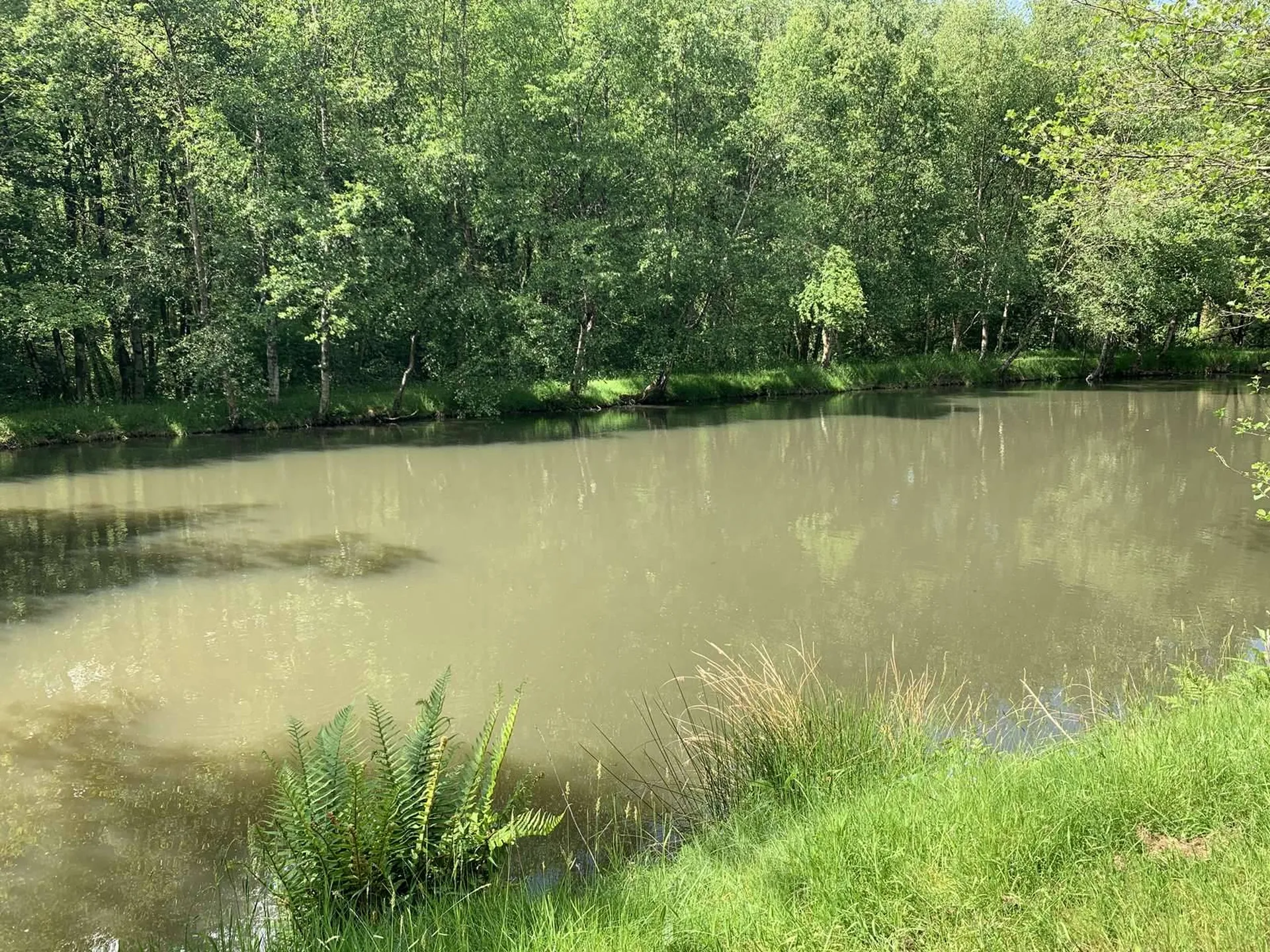 CALVADOS Région de VIRE (14500) propriété forestière de 18 ha 50 a avec des étangs