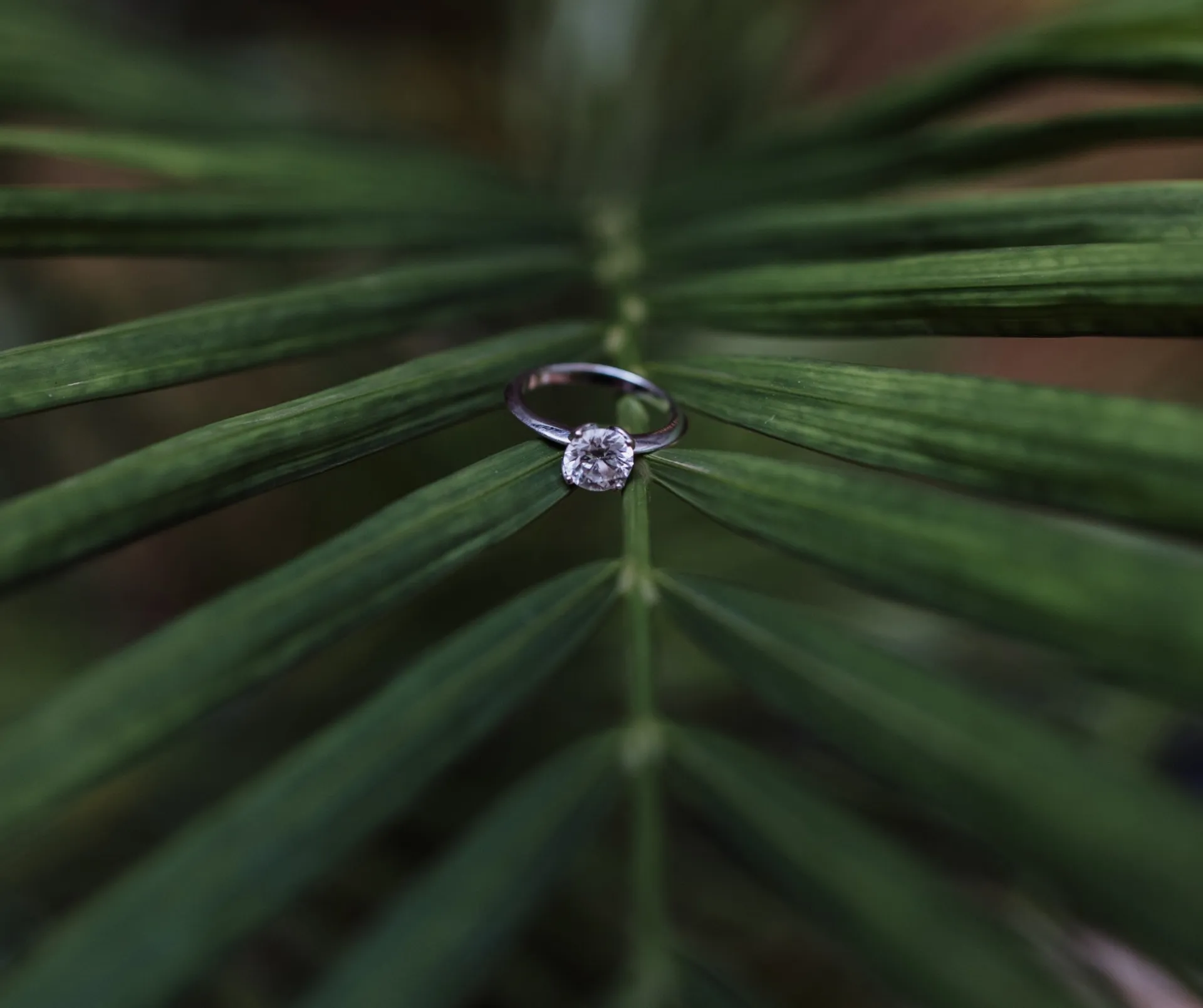 Faire organiser sa demande en mariage à Bordeaux en Nouvelle Aquitaine par une agence de Wedding Planner  