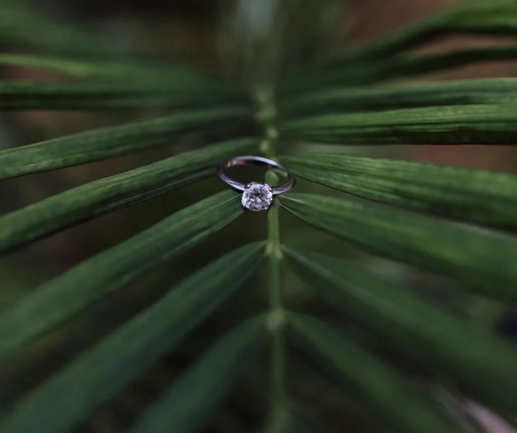 Faire organiser sa demande en mariage à Bordeaux en Nouvelle Aquitaine par une agence de Wedding Planner  