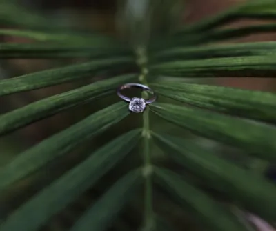 Faire organiser sa demande en mariage à Bordeaux en Nouvelle Aquitaine par une agence de Wedding Planner  