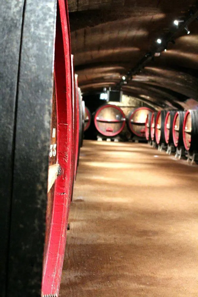 la cave d'Arthur