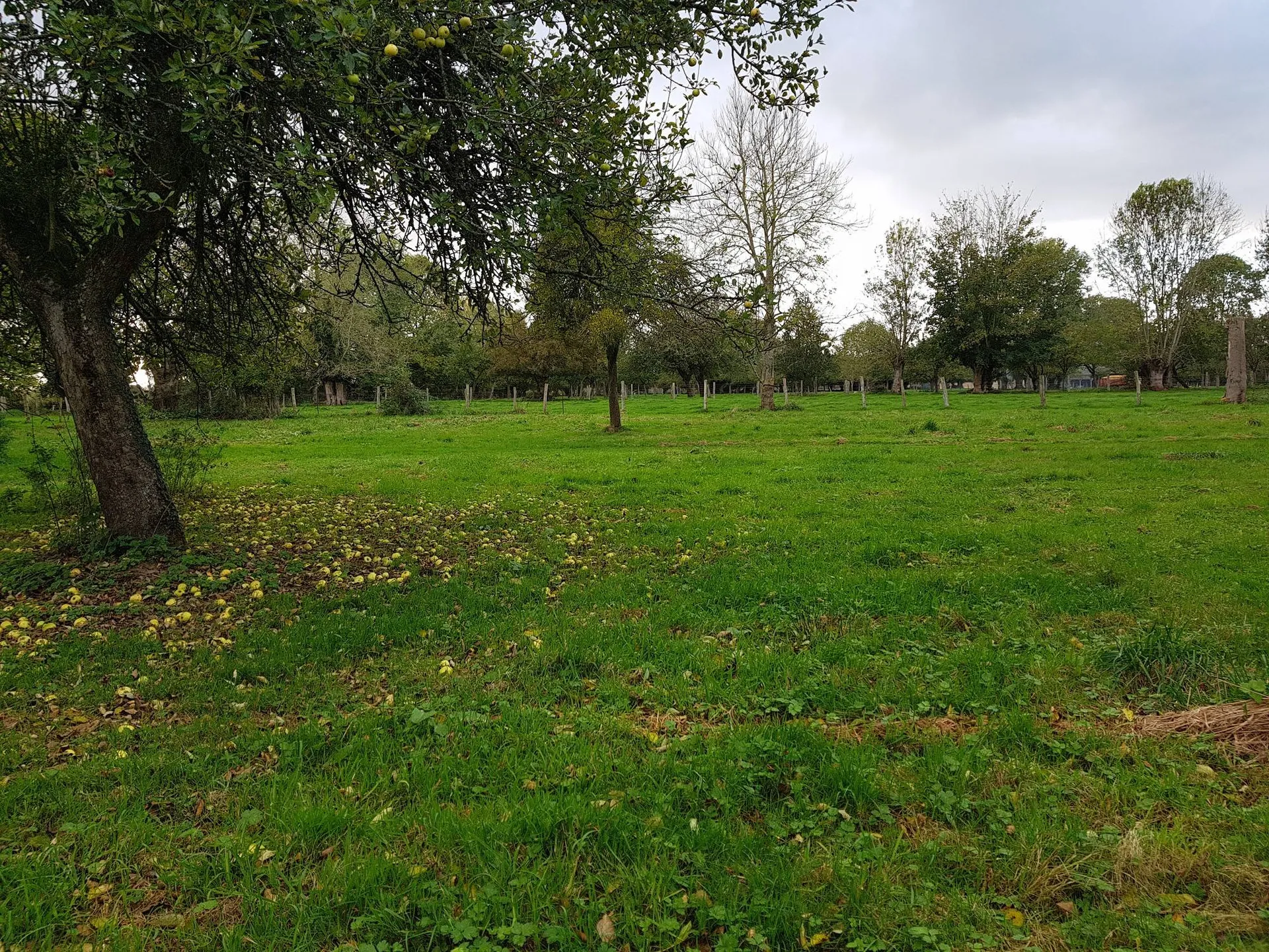 L'agence Terres et Demeures de Normandie Lisieux 14100