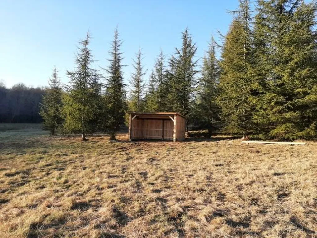 pension pré pour chevaux emphysémateux en gironde