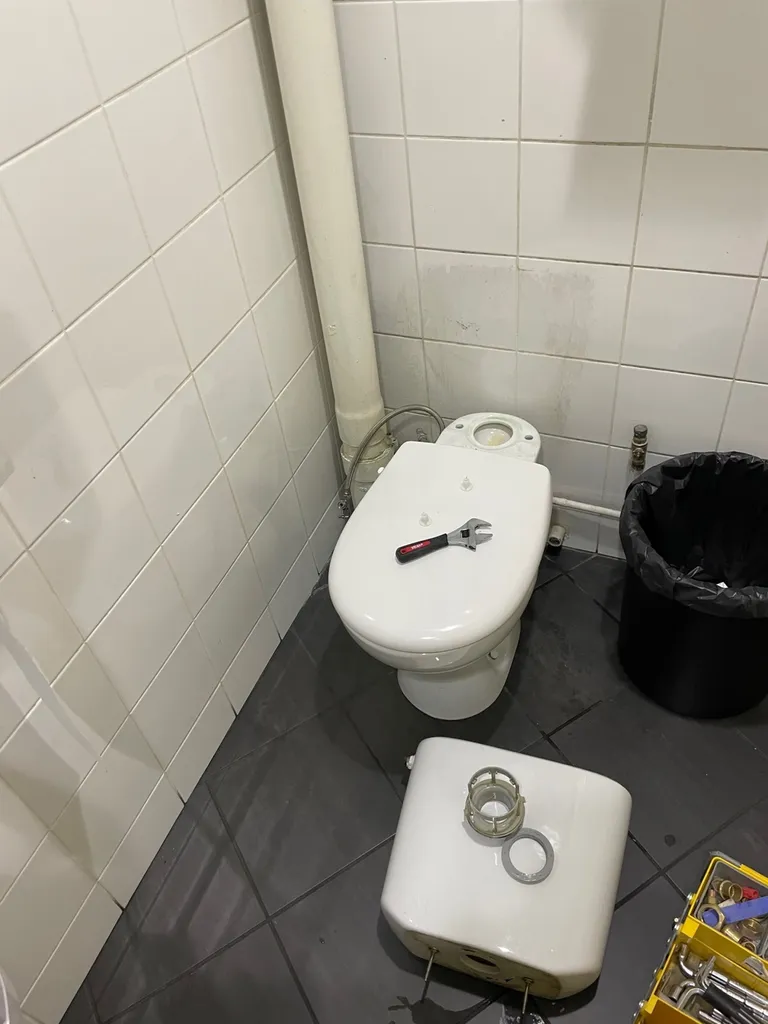 Dépannage plomberie remplacement d’un mécanisme de chasse d’eau qui fuit dans la cuvette wc à Craponne proche de Brindas.