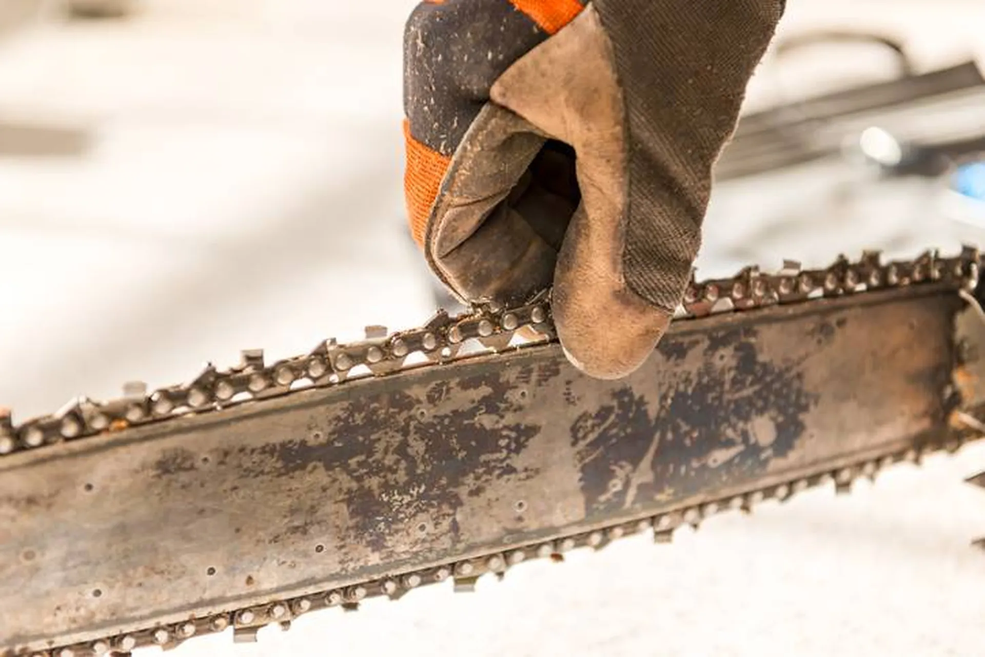 affutage chaine tronçonneuse ollioules