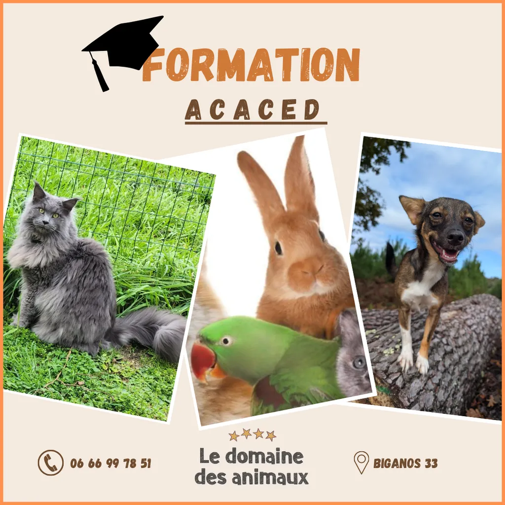 formation ACACED sur l'Aquitaine et en présentiel Biganos