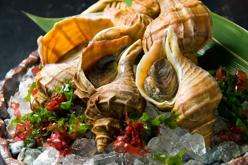 Coquillages frais à Saint-Gély-du-Fesc : bulots, palourdes, moules, murex et saveurs iodées à partager