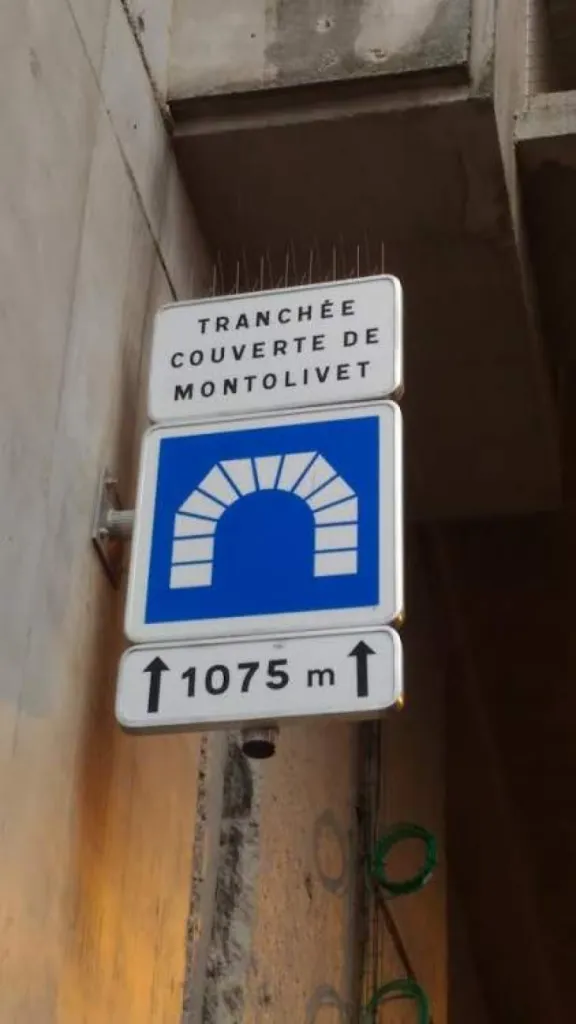 pic anti pigeon istres