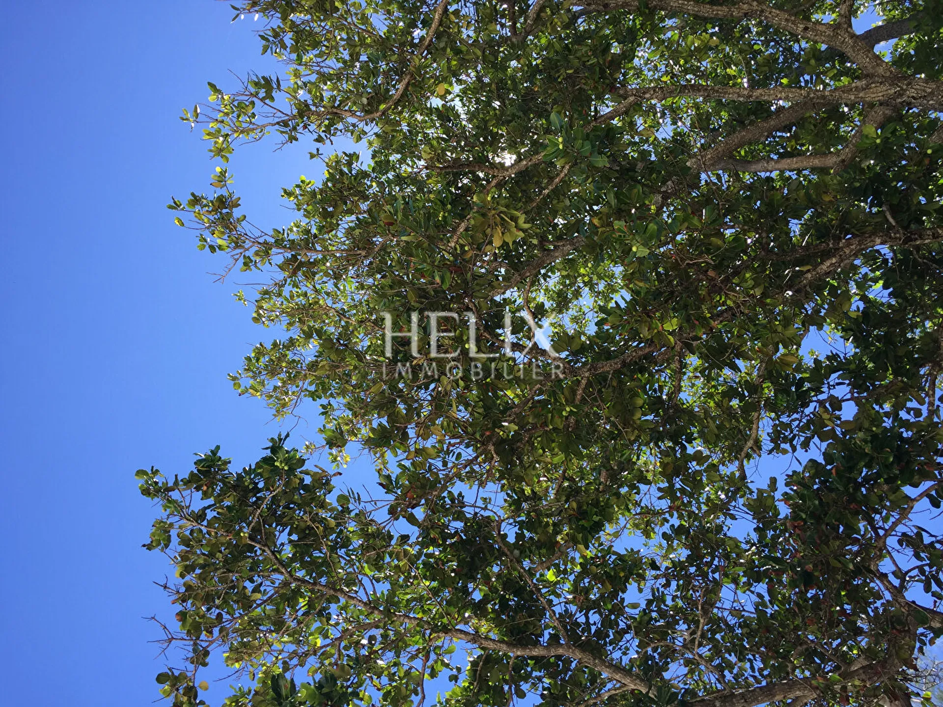 Centre ville, bel appartement 141 M² en duplex 3ème et 4ème étage dans une petite copropriété entretenue bien tenue  à Saint-Germain-en-Laye.