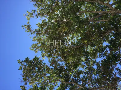 Centre ville, bel appartement 141 M² en duplex 3ème et 4ème étage dans une petite copropriété entretenue bien tenue  à Saint-Germain-en-Laye.