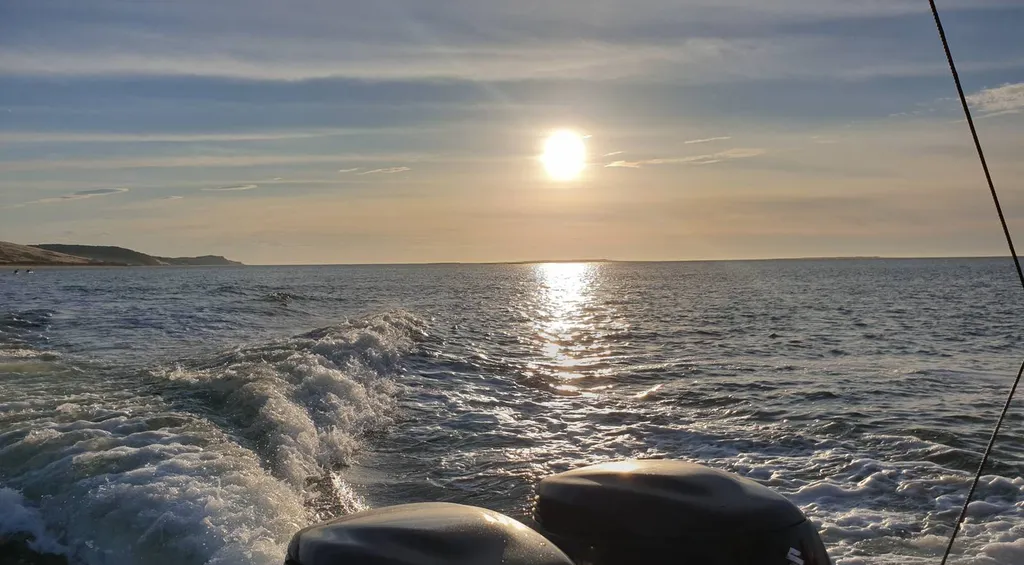 Notre zone d'activité pour ce serviceBalade en pinasse vers l'île aux oiseaux sur Andernos-les-Bains 33510