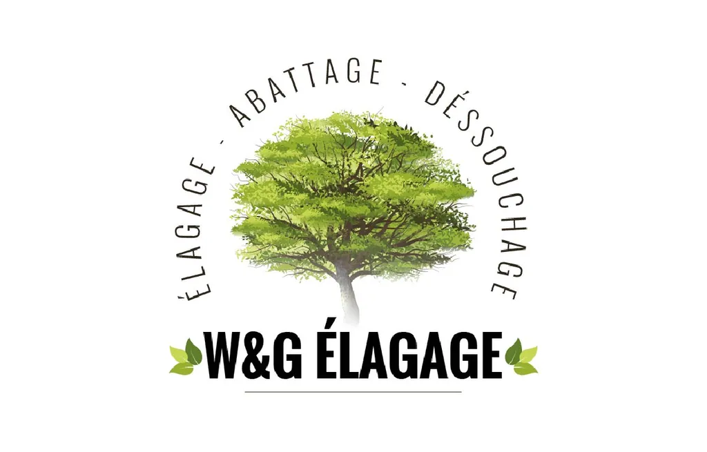 Élagueur expérimenté WG Élagage pour entretien parcs jardins professionnels particuliers taille sanitaire et abattage sécurisé à Bègles