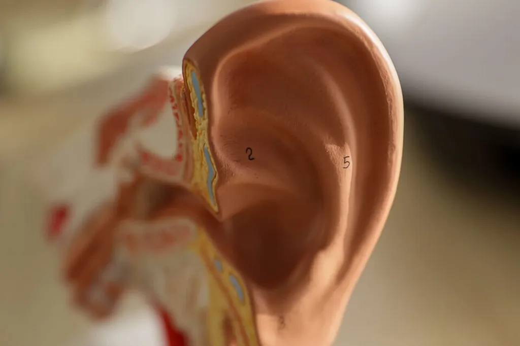 Nouveauté dans vos centres Nouvelle-Aquitaine Audition en Gironde - Découvrez Otoscan® pour vos appareils auditifs sur-mesure