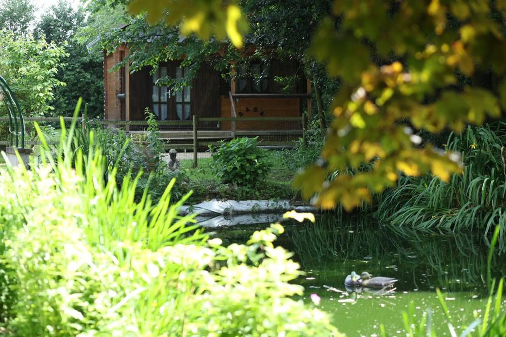 Acquérir, ensemble de chalets, piscine et plan d'eau