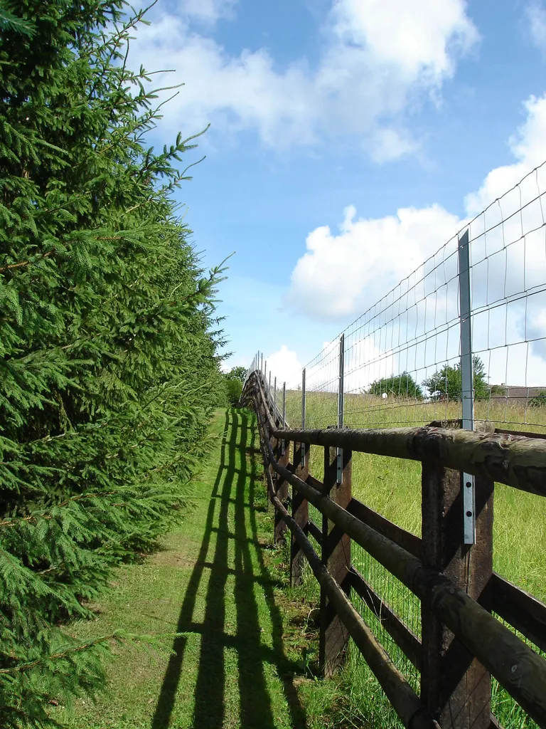 Installation de Clôtures pour gibiers, Grillage à moutons et Protections périmétriques agricoles à Lieurey dans l'Eure 27 et ses Alentours