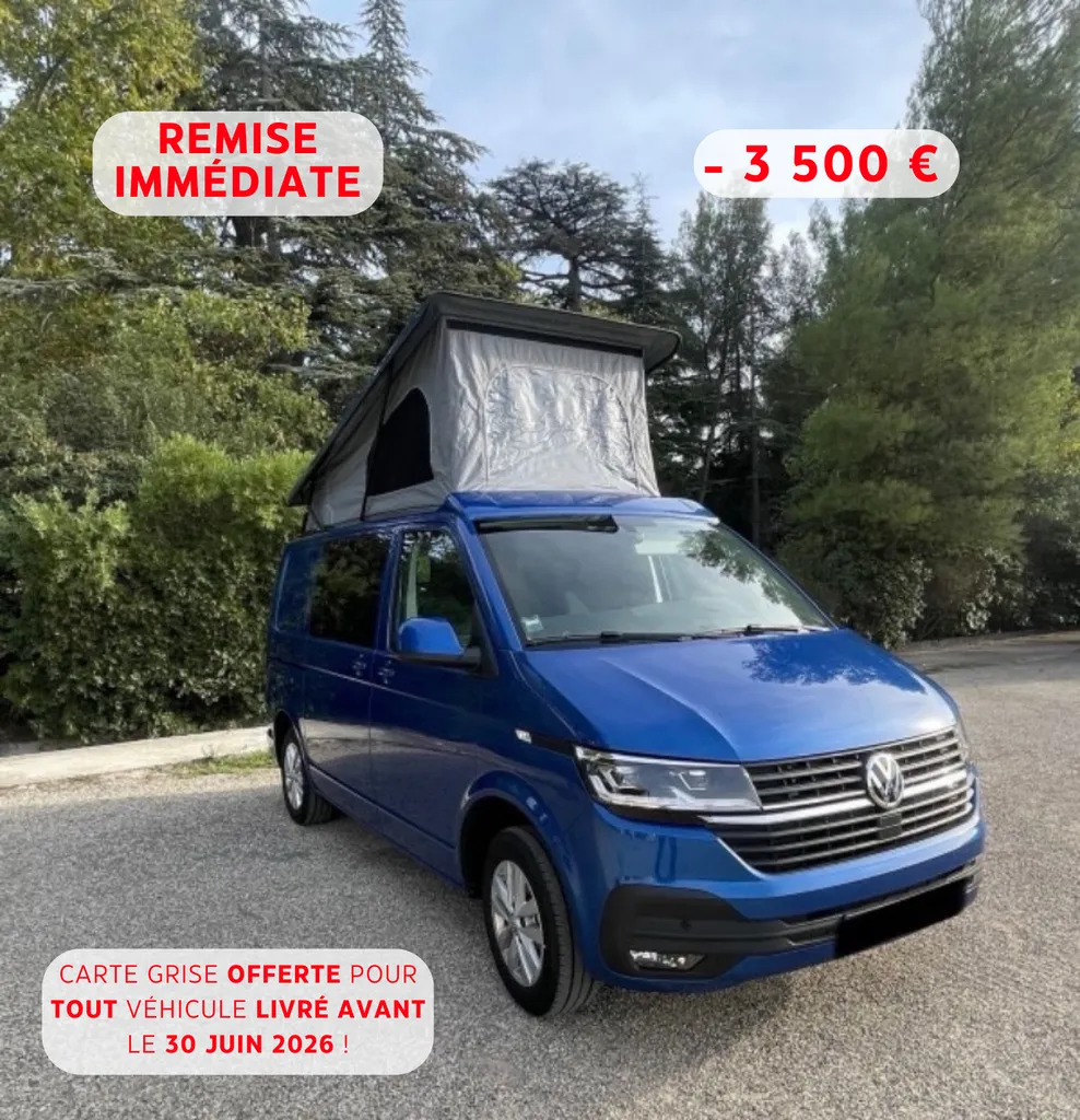 Van Volkswagen T6.1 aménagé