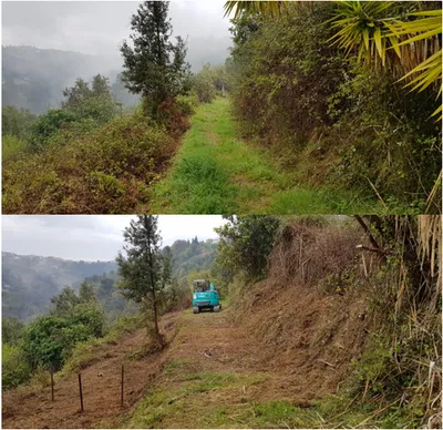 Débrousaillage mécanisé pour sécurisation Incendie dans les 06