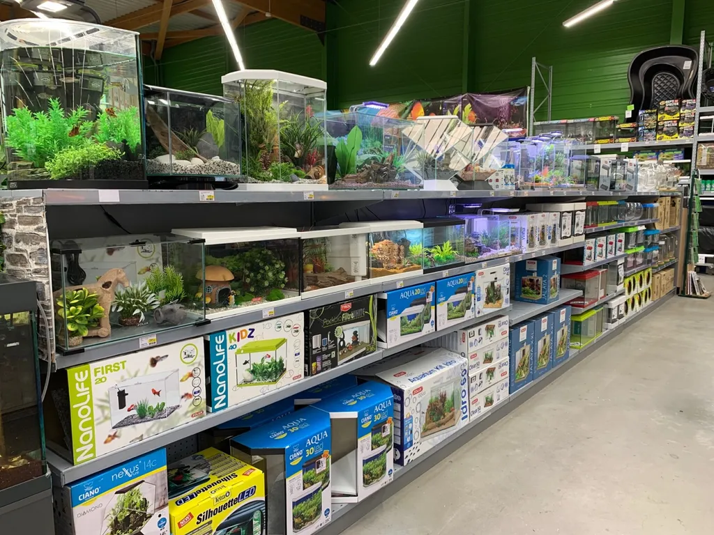 Vente d'aquariums et de produits d'entretien