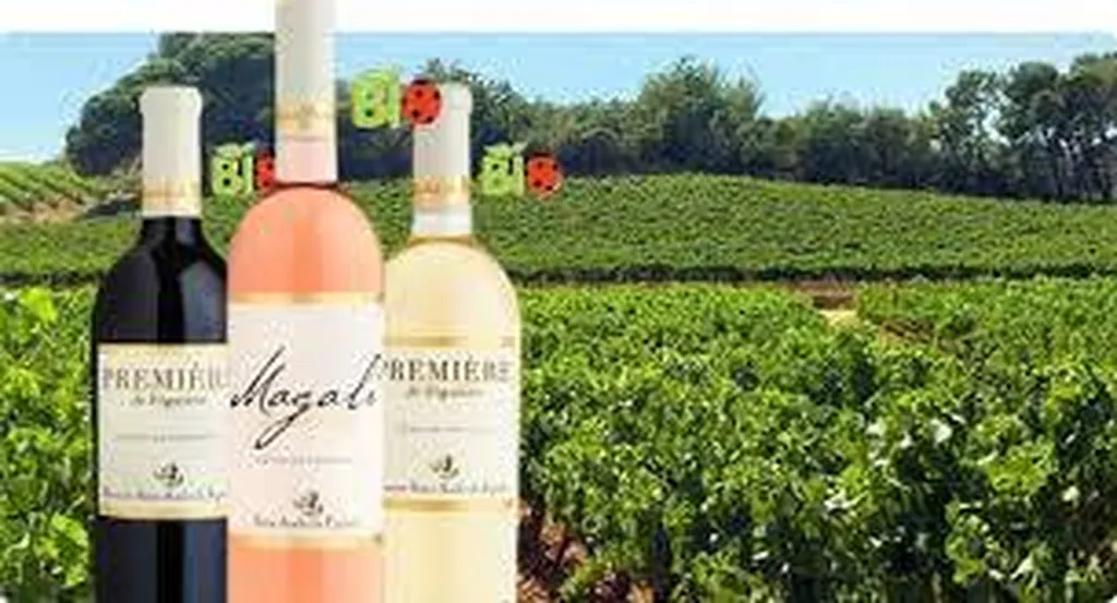 domaine viticole Figuière