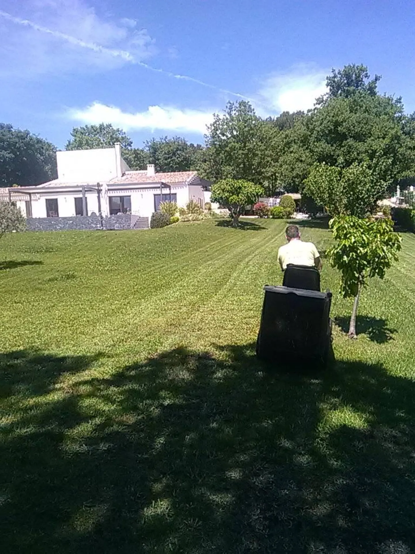 Tonte gazon tondeuse autoportée Coudoux
