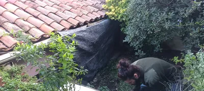 Défrichage pour travaux. 