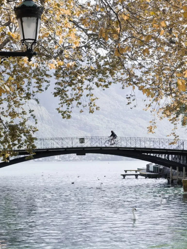 ville Annecy domotique loxone expérience habitat 
