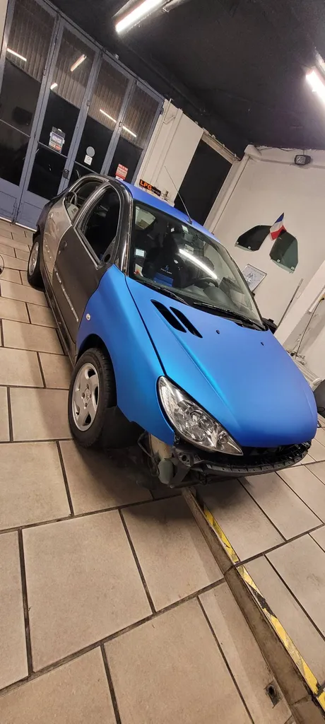 Total covering Peugeot 206