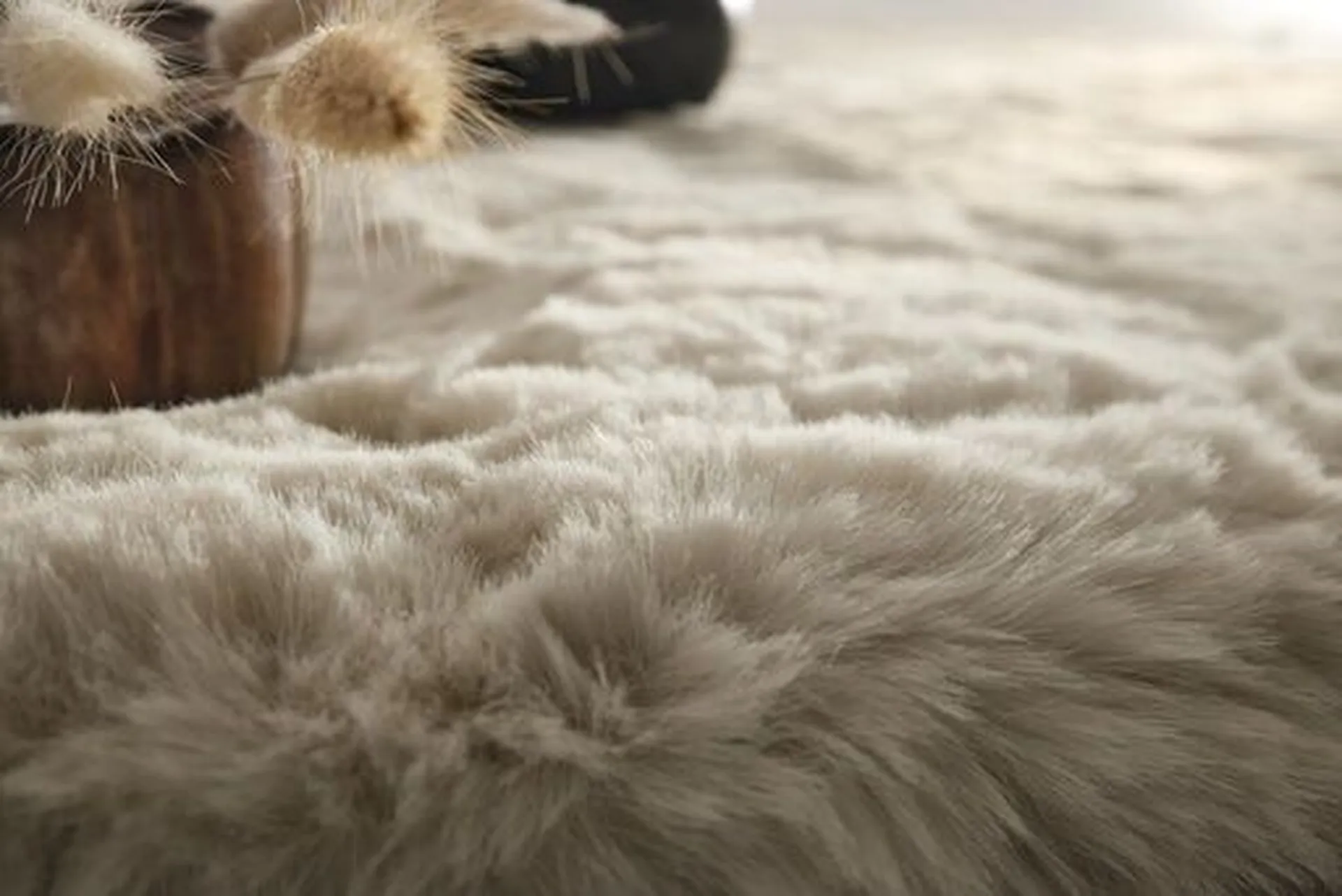 Tapis Furry Fellows Jab