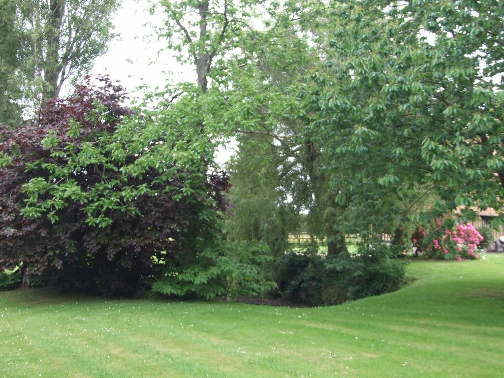 Manoir proche d'une forêt en normandie