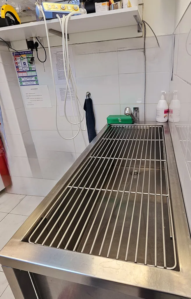 Un plateau technique complet pour chiens, chats et NAC à Marseille