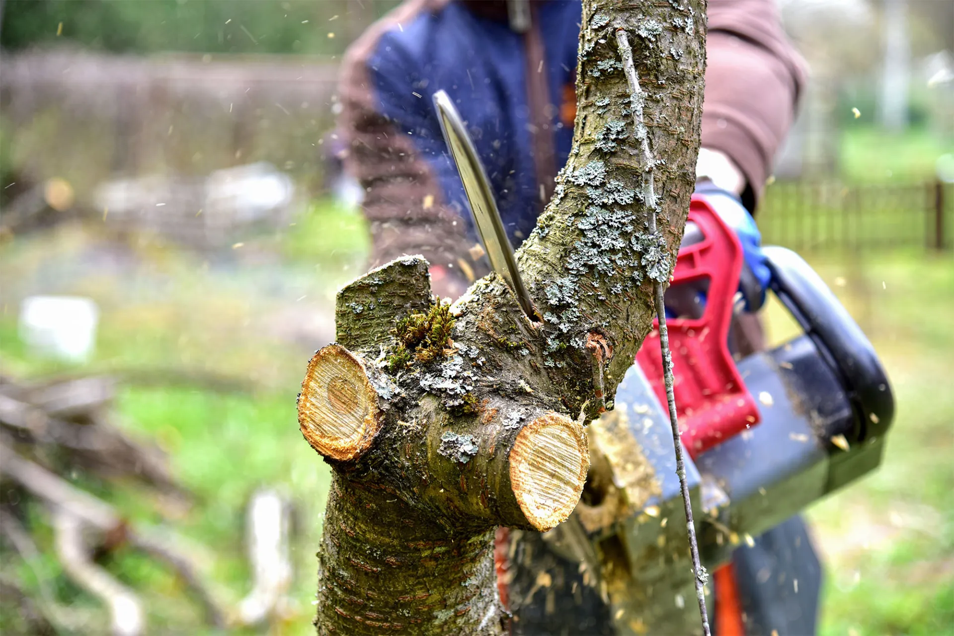 Entreprise d'élagage et d'abattage d'arbres dangereux à Saint Aubin de Médoc