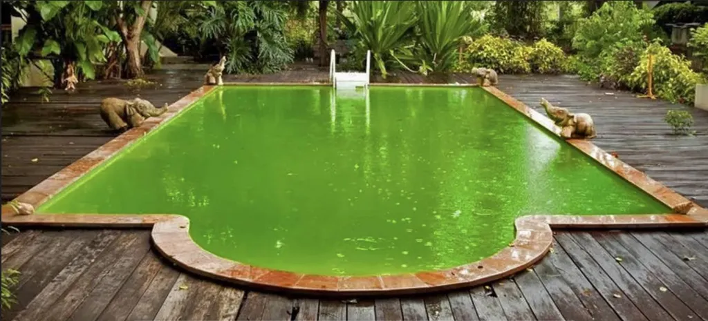 PHOSPHATE DANS UNE PISCINE 
