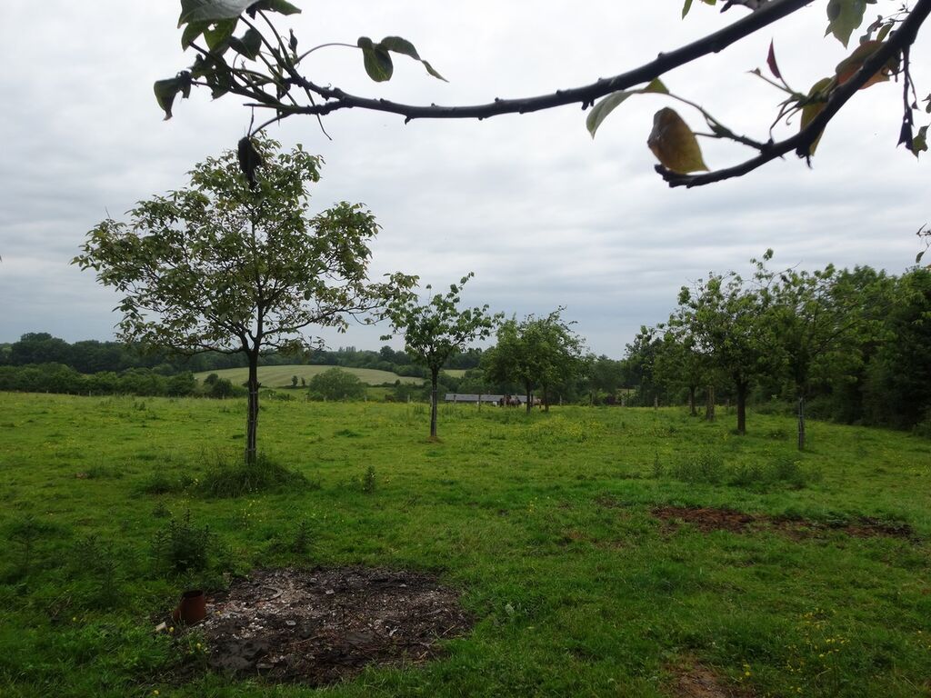 Vue étage Normandie Calvados