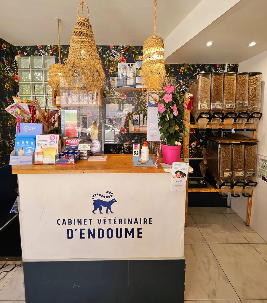 Bienvenue à la Clinique Vétérinaire d'Endoume !