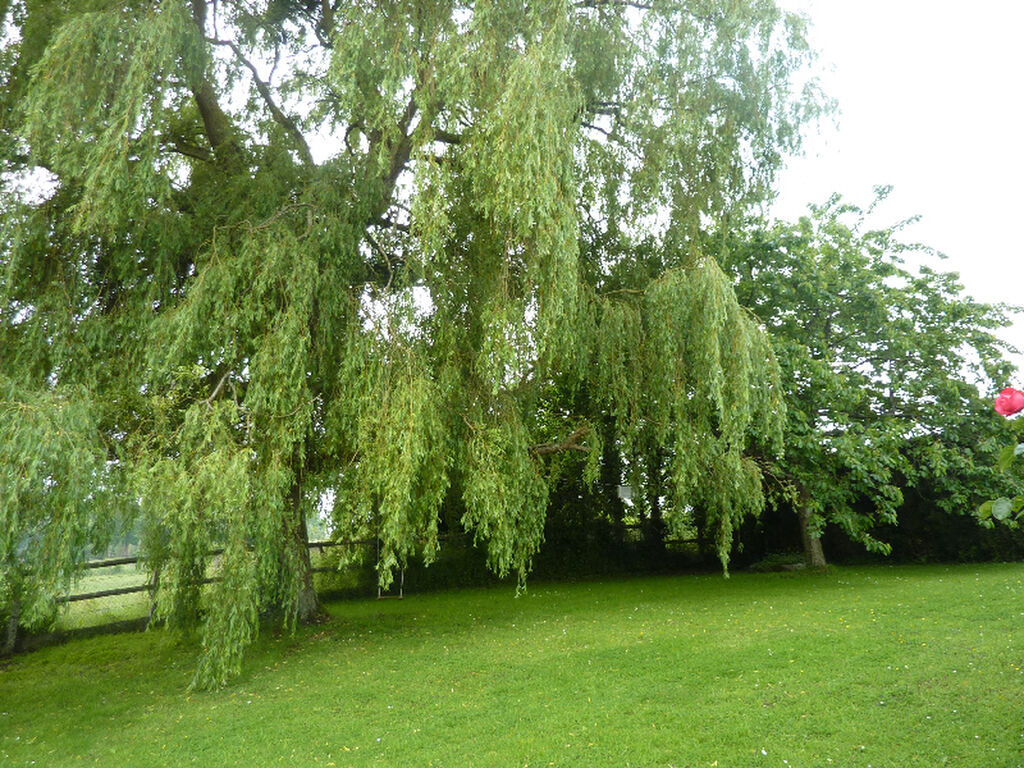 Terres et Demeures de Normandie Calvados 14