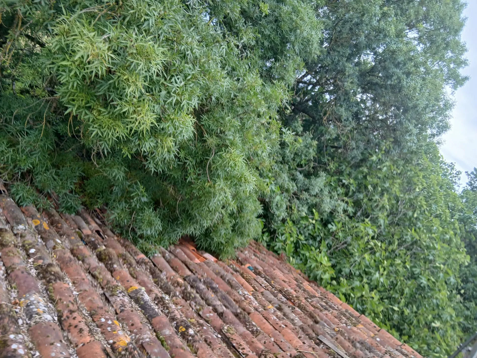 Maitre d'œuvre spécialisé dans la rénovation de maison à Toulouse