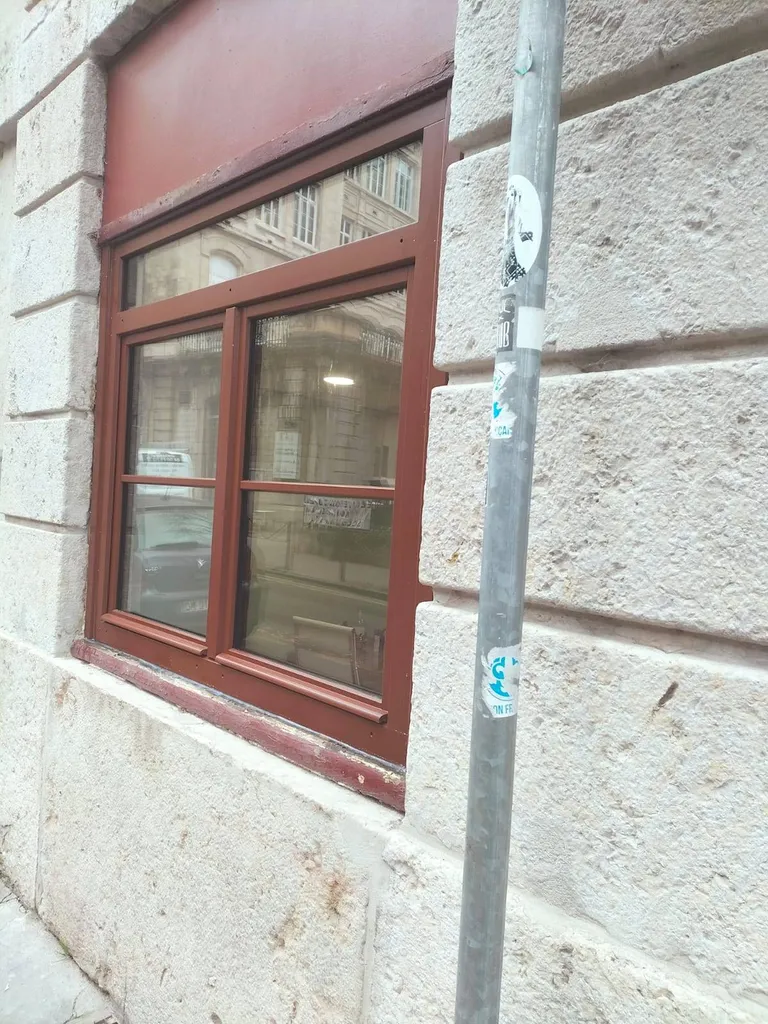 installation de fenêtres en bois exotique à Lyon 4