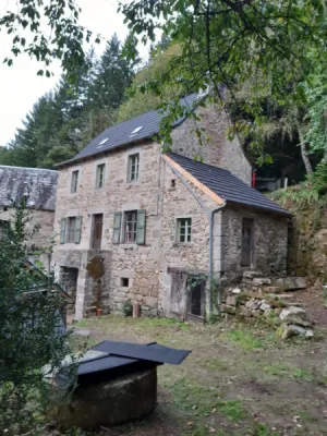 Ardoises métalliques Gerard Alpine Orne 1de5