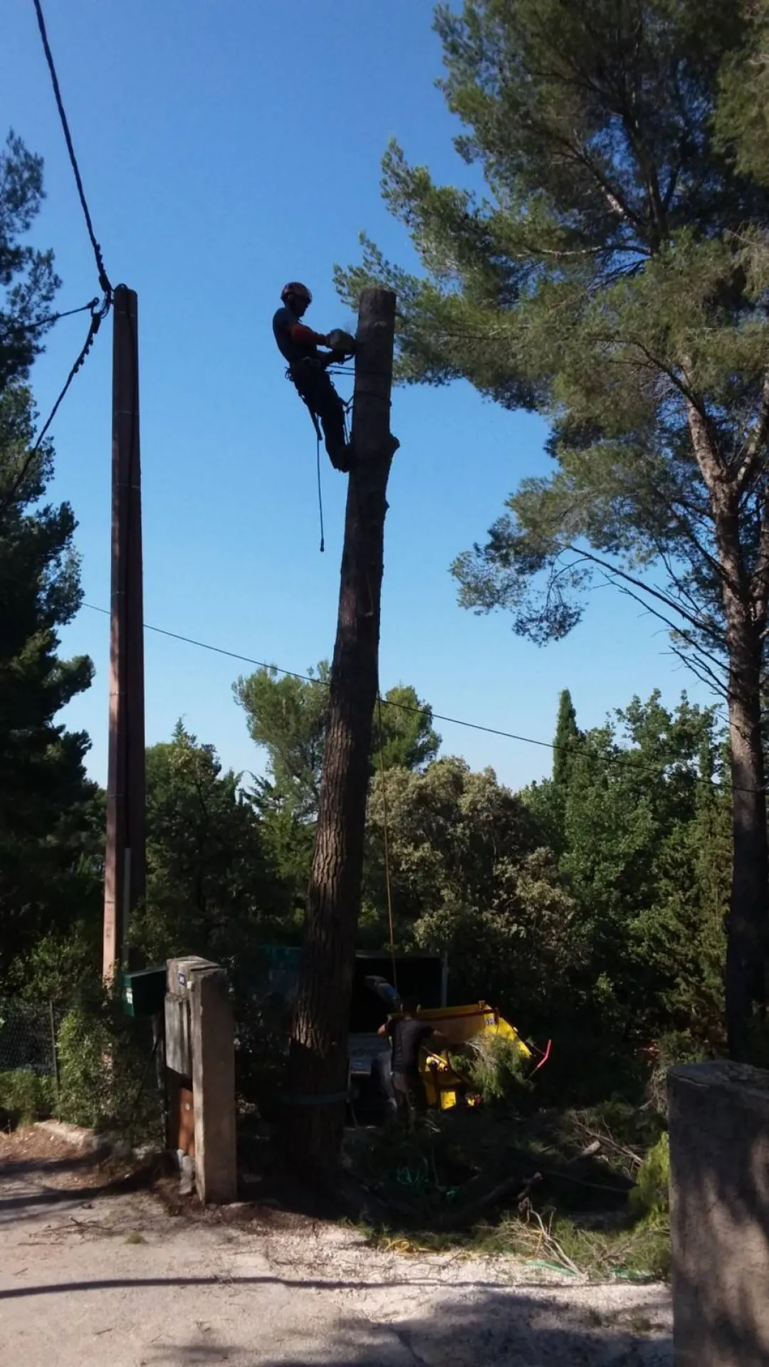 Demontage d'arbres par retention proche de Rognac 13340