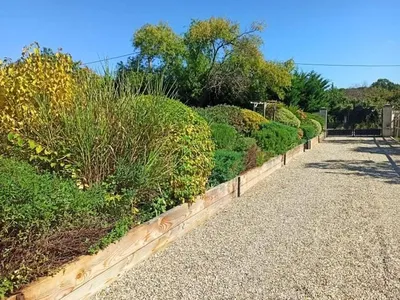 Entretien d'un massif d'arbustes et de plantes vivaces proche Saint André de Cubzac