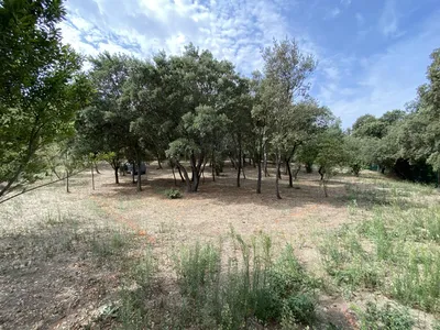 Étude de projet pour la conception d’un skate park à Saint-Rémy-de-Provence 13210, réalisée par Carré Vert, experts en aménagement extérieur