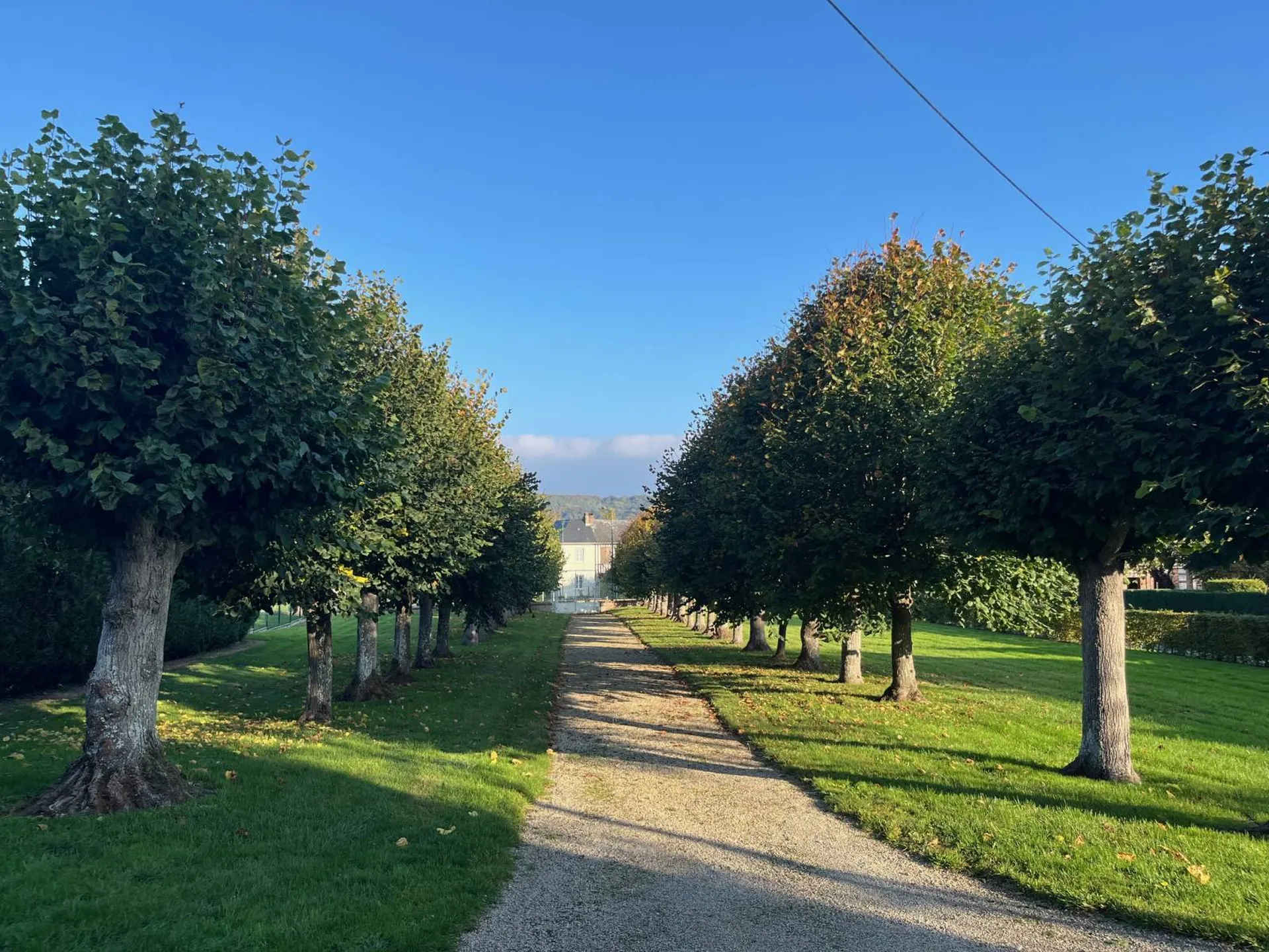 Superbe maison de Maître, à vendre, à Vatteville la Rue - Beaux volumes