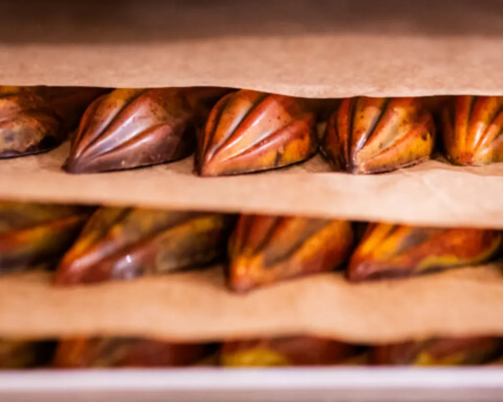Des mini-cabosses chocolat noir ou lait au cœur fondant de praliné noisette ou pistache