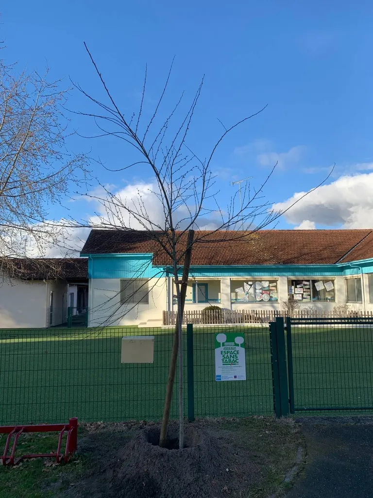 Quel paysagiste spécialisé en plantation d’arbres et arbustes fleuris est recommandé à Parentis-en-Born