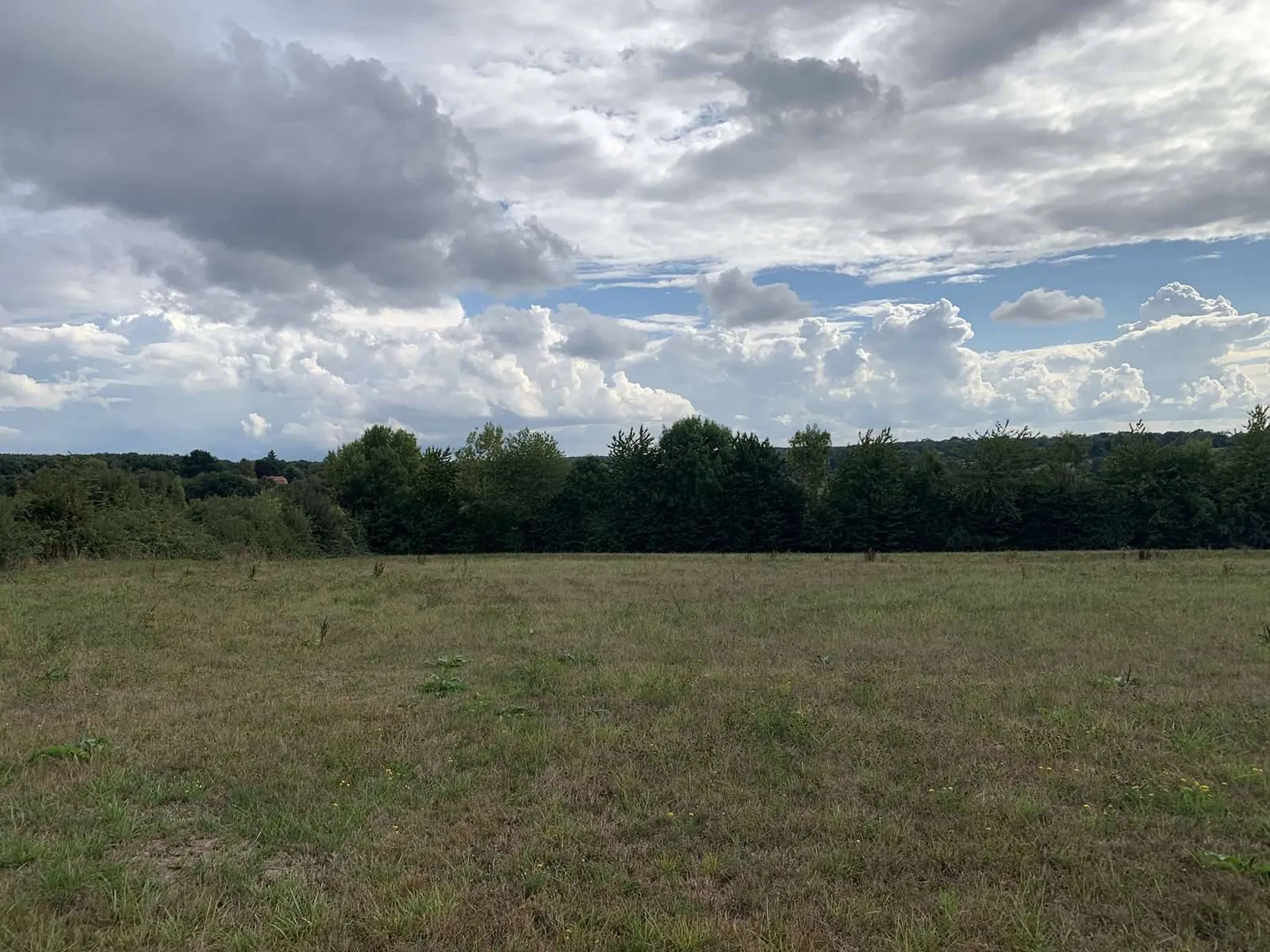 SUD PAYS D'AUGE CALVADOS  A VENDRE TERRAIN AGRICOLE DE 4 HA 70 A